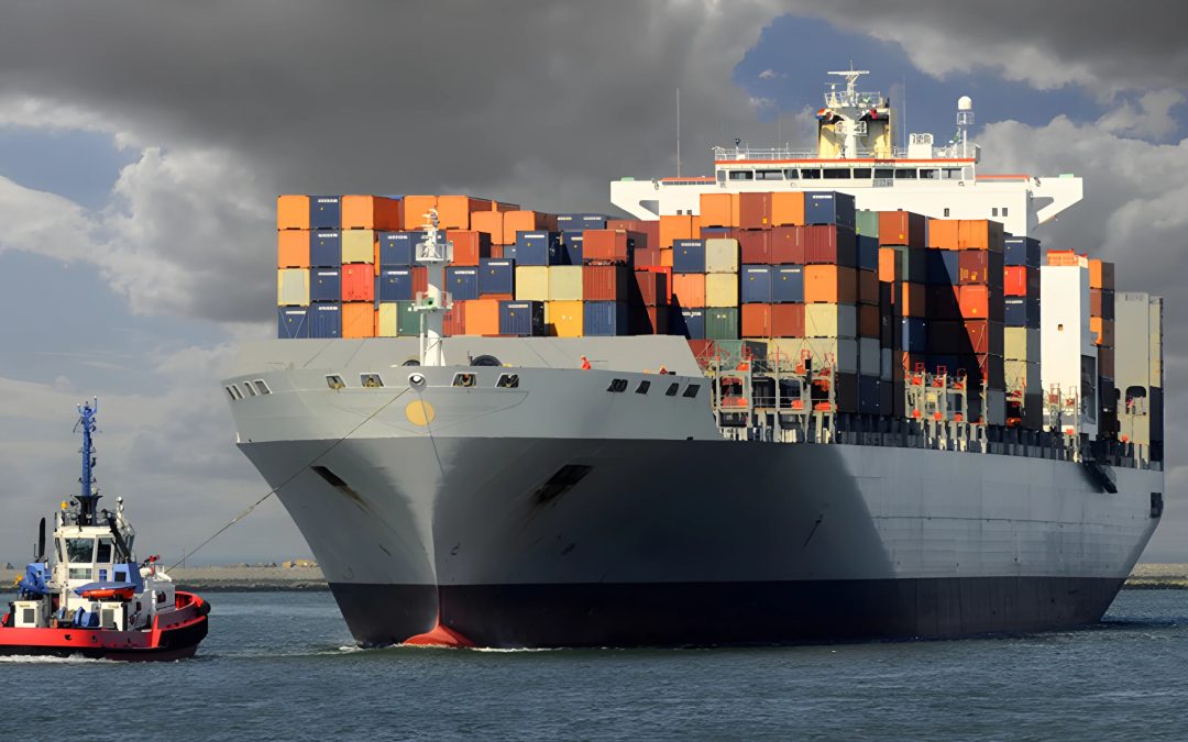 Common Mistakes in Import-Export—and How Mentor Trade 360 Helps You Avoid Them